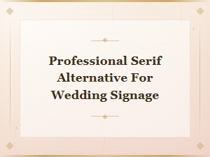 Best Professional Serif Alternatives for Stunning Wedding Signage